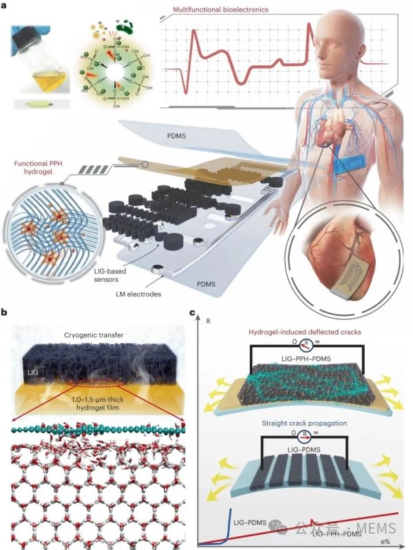 用于多功能表皮电子与心脏贴片的激光诱导可拉伸生物电子界面